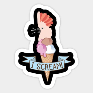 Moluccan Cockatoo Ice Cream Parrot Sticker